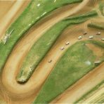 Circuit Automobile Terre d'Is sur Tille     Piste "Nicolas Klein" - Facebook