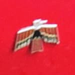 Nicolas Knuth - @americanredbird - Instagram