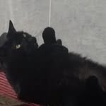 Nicolas Koch - @nicolaskoch250803 - Instagram