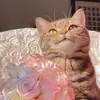 Xy👩‍🦰 - @nicolas.koch41 - TikTok