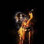 Nicolas Laforge - Facebook