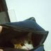 Nicolas Lam Lara - Facebook