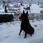 Nicolas Lebas - @nicodu7684 - Instagram