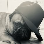 Nicolas Legrand - @legnico44 - Instagram