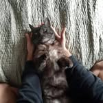 Nicolás Lepes - @nicolaslepes2 - Instagram