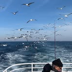 Nicolas Lin - Facebook