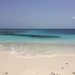 Nicolas Macdonald - @nicolas_macdonald - Instagram