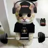 Niko✝️ - @nikolasmacko - TikTok
