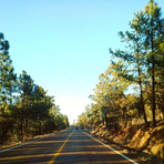 Nicolas Bravo, Madera, Chihuahua - Facebook