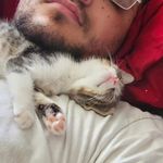 Nicolas Mann - @nicolasmann__ - Instagram