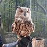 Nicolas Spredemann - @nicolasspredemann - TikTok