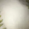 nicolasmanzanares8 - @nicolasmanzanares8 - TikTok