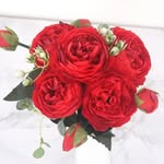 Nicolas - @nicolas_matthew4462 - Instagram