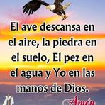 Nicolas Mayo - Facebook