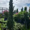 Dos amigos 502 - @nicolas.miranda834 - TikTok