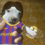 Nicolas Morillo Soto - @nicolasmorillo6 - Instagram