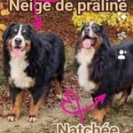 Nicolas Lermoyer - @nicolaslermoyer - Instagram