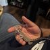 Nicolas Norton - Facebook
