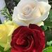 Nicolas Ortega - Facebook