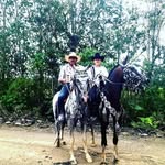 Nicolas Palma - @_nicolass_palma - Instagram