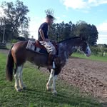 Nicolas Palma - @_nicolaspalma - Instagram