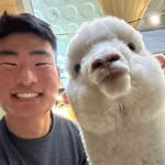 Nick Park - @nicolaspark_ - Instagram