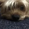 NicolásPartida - @tkcdpwez5kk - TikTok