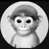 Nicolas Peck - @nicolas777770 - TikTok