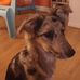Nicolas Pelletier - Facebook