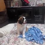 Nicolas Perreault - @nicolas.perreault.1272 - Instagram