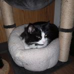 Nicolas Phillips - Facebook