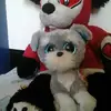 nicolasphillips - @nicolasphillips - TikTok