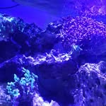 Nicolas Pierre - @nicolas.pierre.7758 - Instagram
