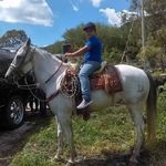 Nicolas Razo - @nicolas.razo.351 - Instagram