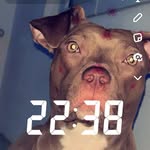 Nicolas Renaud - @nikor3293 - Instagram