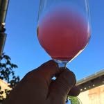 Nicolas Renaud - @nico_grillons - Instagram
