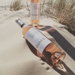 Nicolas Roche - @nicolasroche33 - Instagram