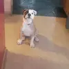 nicolassotelo872 - @nicolassotelo872 - TikTok