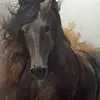 Nicolas Soto - @user1574162235355 - TikTok