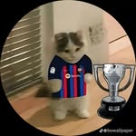Nicolas Stevens - @nicolax328 - Instagram