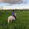 NT - @nicolas.tenorio88 - TikTok