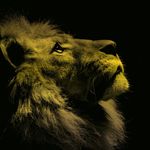 Nicolás Umaña - @leo_umana_ - Instagram
