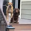 Nicholas Vecchio538 - @nicholasvecchio2 - TikTok