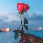 Nicolas walker - @nicolas_walker_22 - Instagram