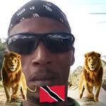 Nicolas Warner - @nicolaswarner3 - Instagram