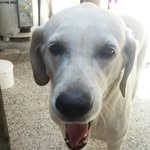 Nicolas Werner - @nicoderp999 - Instagram