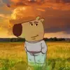 Nicolas_Woods - @nicolas_woods10 - TikTok