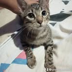 Guzman Nicolasa - Facebook