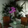 nico - @nicolasa_guzman - TikTok