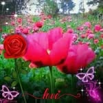 Nicolasa Ramirez - @nicolasaramirez42 - Instagram